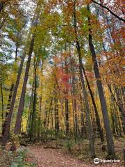 Rocky Arbor State Park