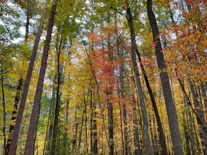 Rocky Arbor State Park