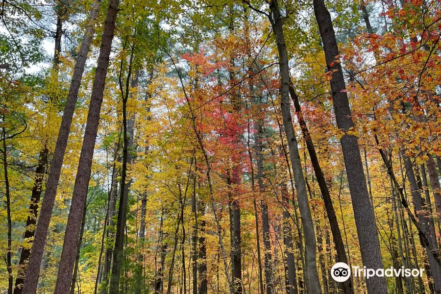 Rocky Arbor State Park