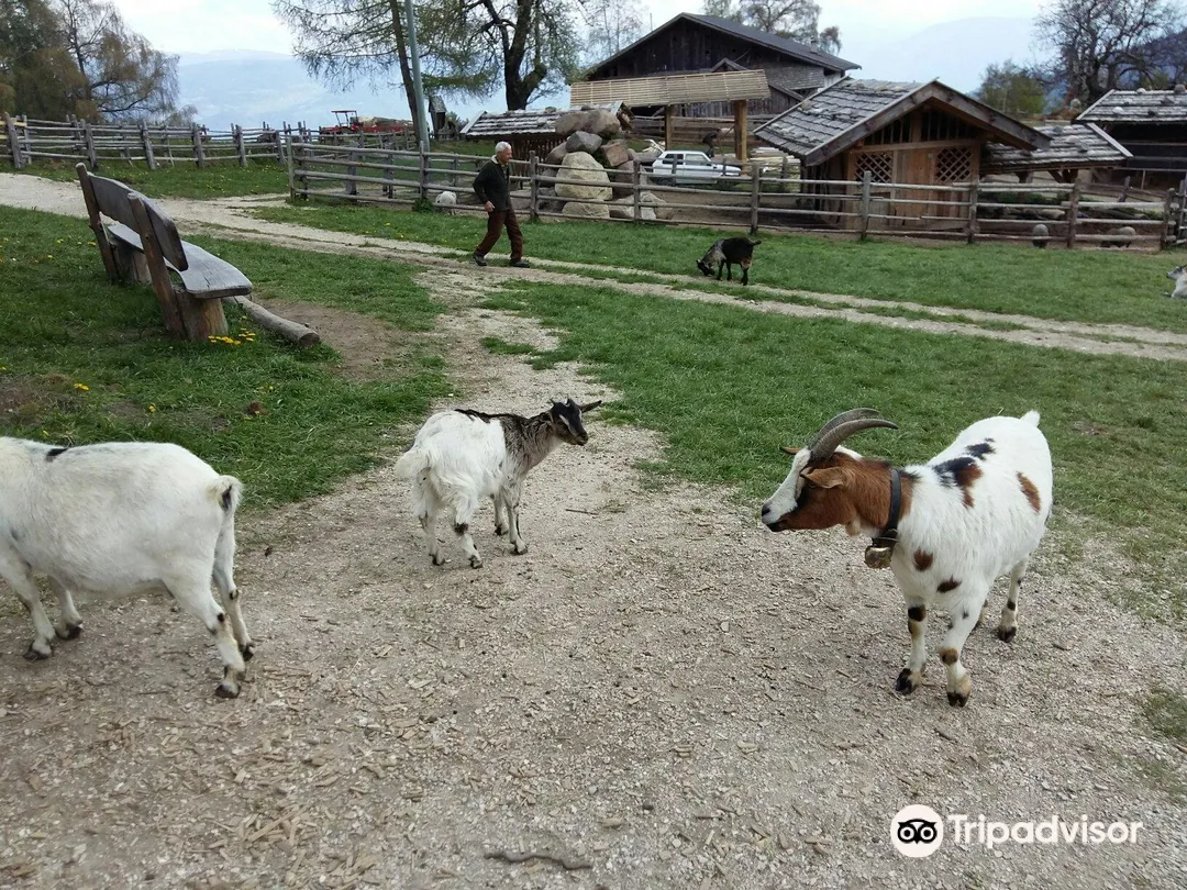 2_Fattoria Rainguthof