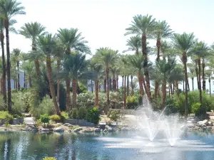 Shields Date Garden