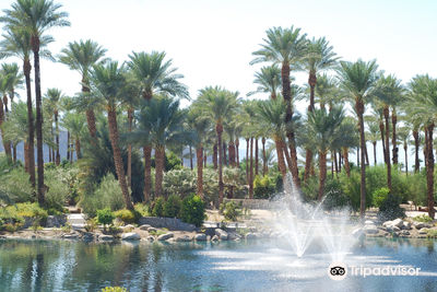 Shields Date Garden