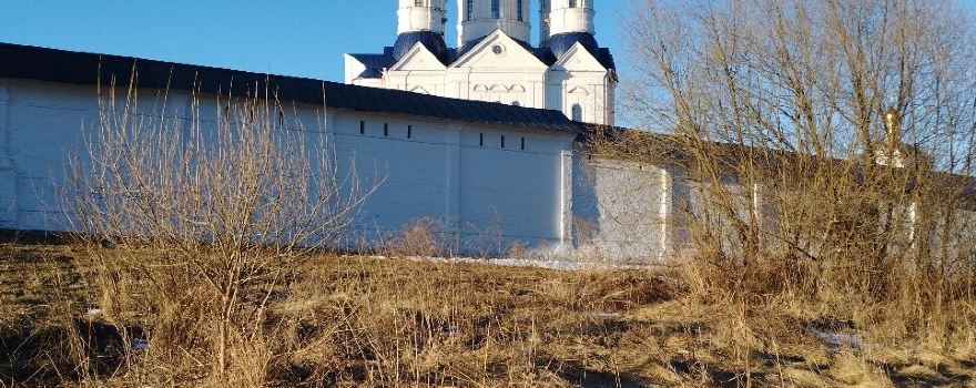Bryansky District