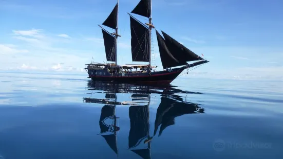 Wicked Diving Raja Ampat