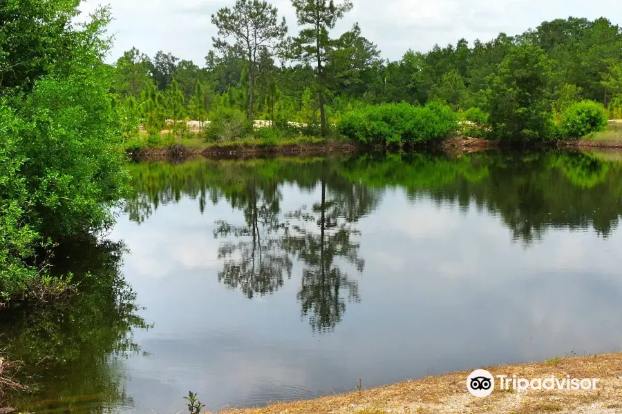 Magnolia Branch Wildlife Reserve