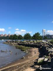 Ross Dock Picnic Area