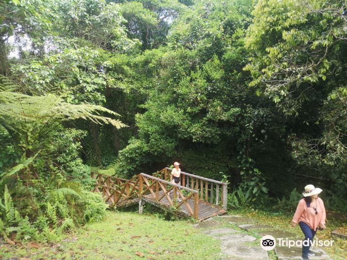 Taman Tumbina