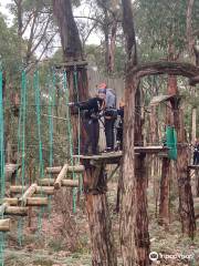 Treetops Adventure Yeodene