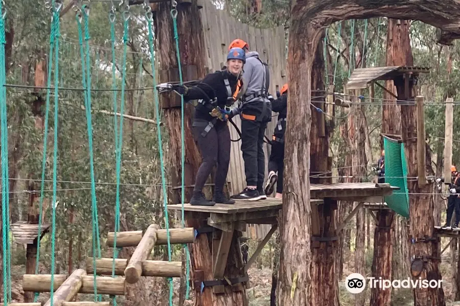 Treetops Adventure Yeodene Park