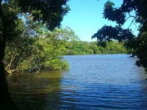 Sapiranga Reserve