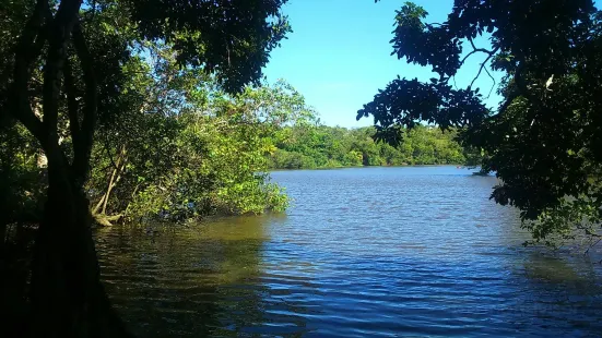 Sapiranga Reserve