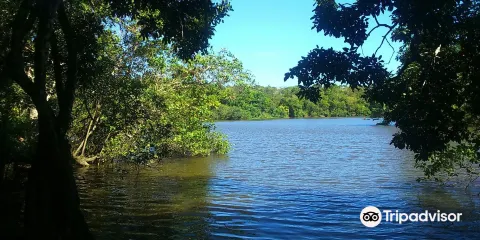 Reserva de Sapiranga