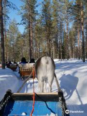 Tatuka Reindeerfarm