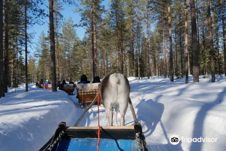 Tatuka Reindeerfarm