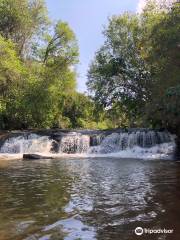 Parque Florestal de Ibicatu