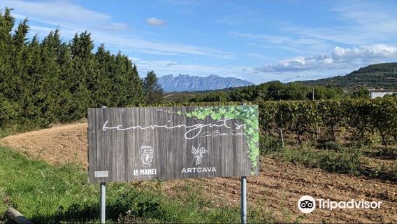 Avinyonet del Penedes