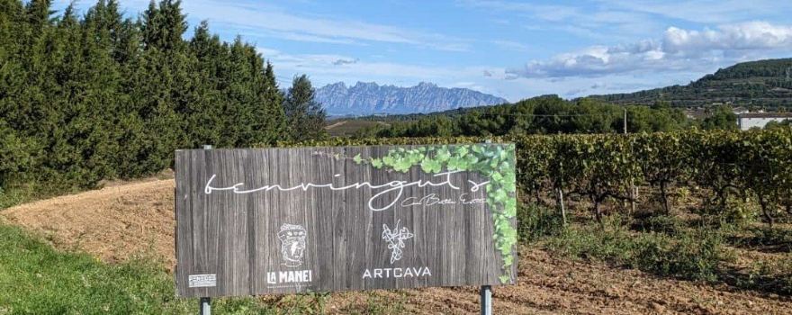 ARTCAVA WINERY