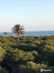 Playa de La Marina