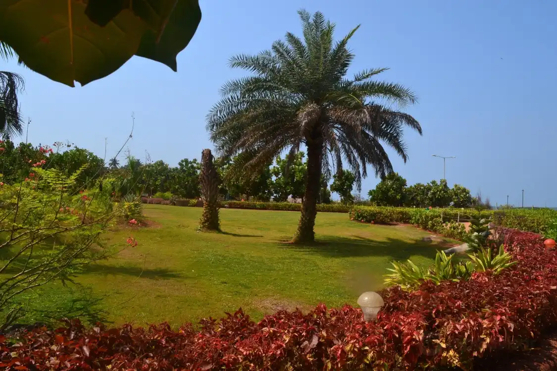 Hotels near Malvan Marine Sanctuary ( Rich Wildlife )