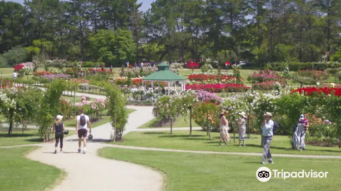 5_Victoria State Rose Garden