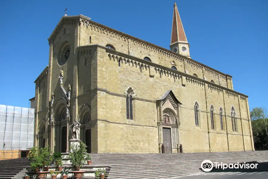 Arezzo Cathedral