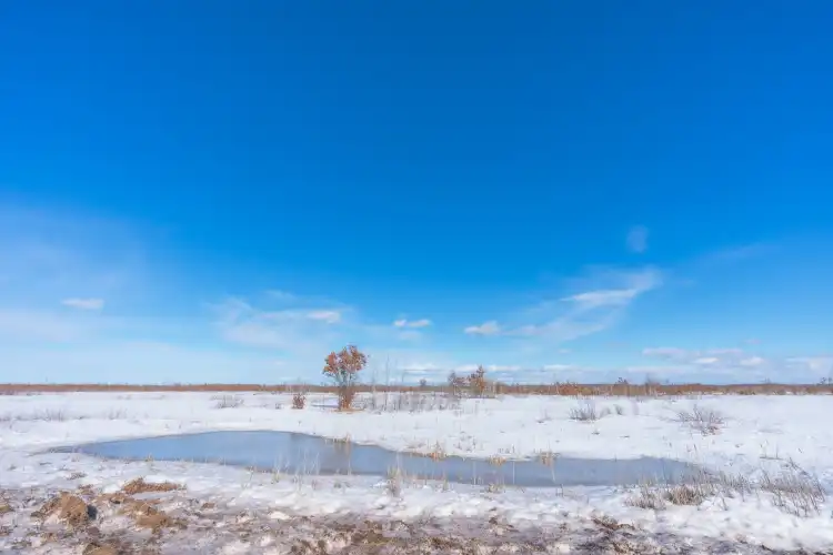 فنادق في Wood River