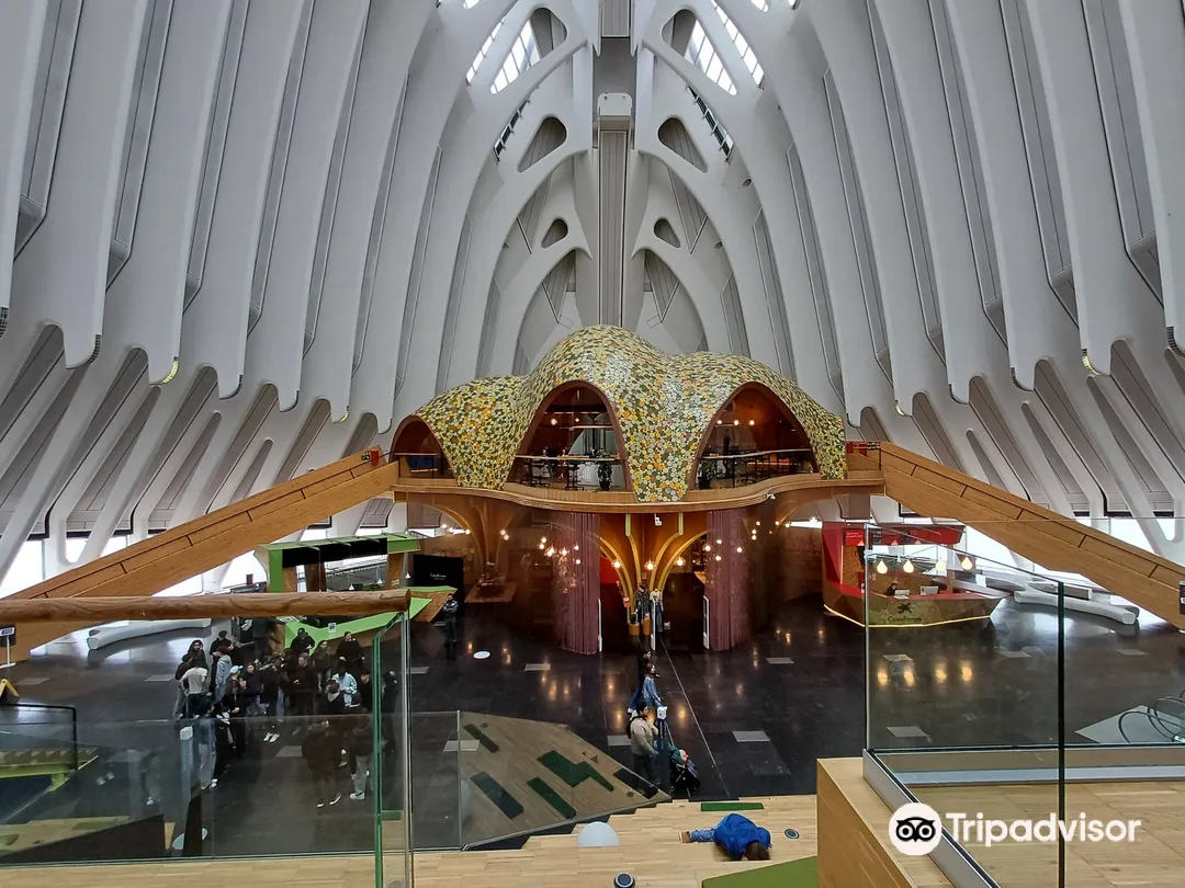 3_Museu de les Ciències Príncipe Felipe