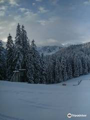 Garmisch-Partenkirchen Ski Resort