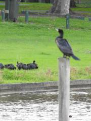 Hazelwood Pondage