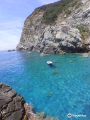 Pevea Fishing Charter - Cinqueterre Boat Tour. and levanto trip