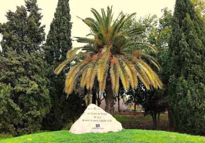 Parc de Sa Riera