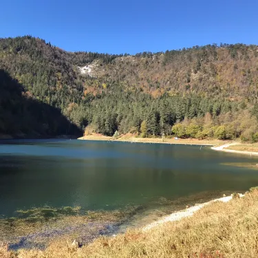 Tavsansuyu Koyu