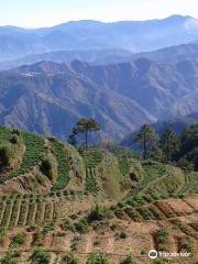 Sitio La Presa