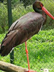 Tierpark Kunsterspring