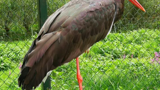 Tierpark Kunsterspring