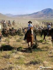 Reno Rodeo Cattle Drive