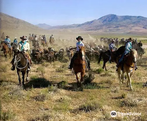 Reno Rodeo Association