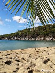 Plage de Petite Anse