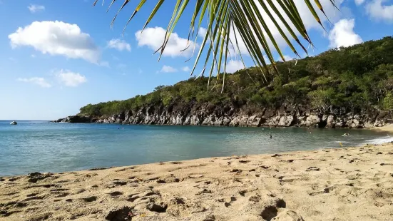 Plage de Petite Anse