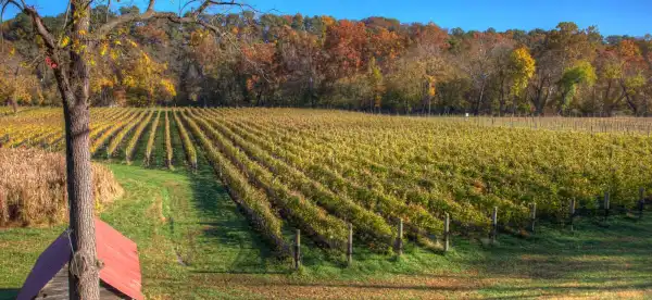 Hotels in Shenandoah County