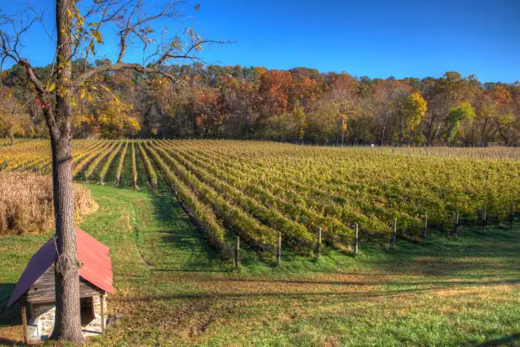 Shenandoah County