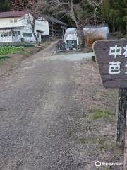 Lieutenant Fujihara Ason Sanekata Tombstone