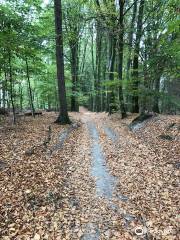 Kletterwald Niederrhein