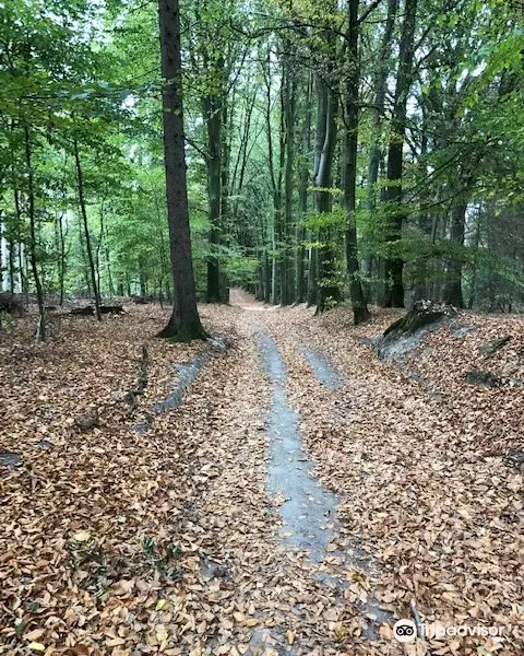 Kletterwald Niederrhein