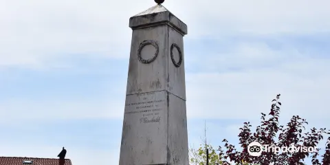 Obelisco di Garibaldi
