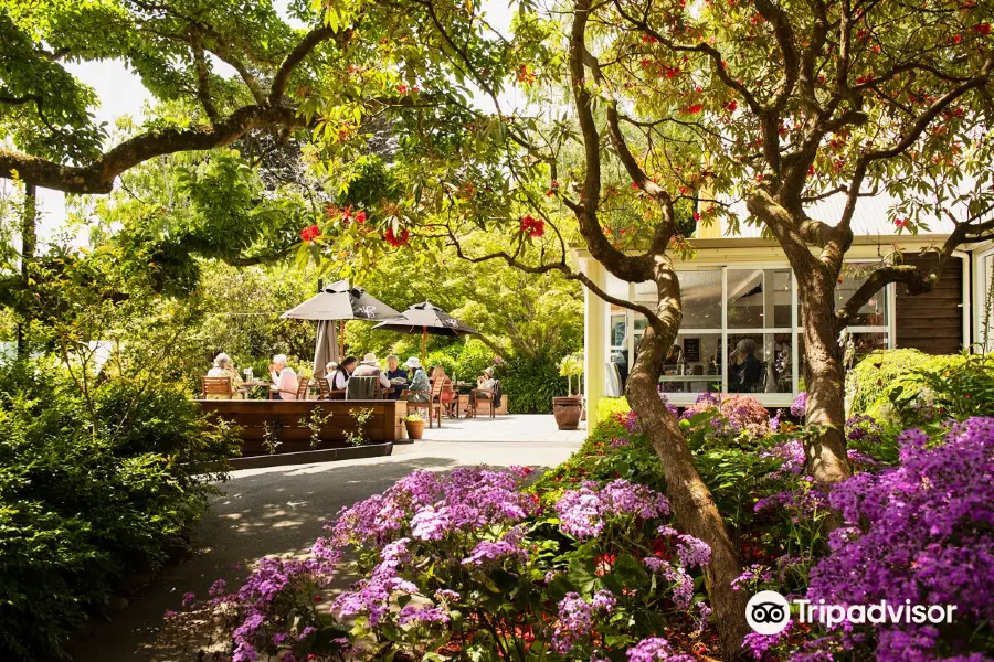 Glenfalloch Woodland Gardens