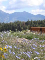 Arboreto de Flagstaff