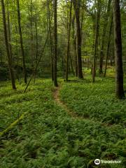 Twin Falls State Park