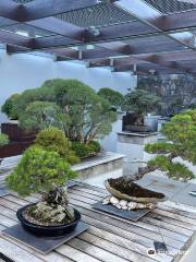 The National Bonsai and Penjing Collection