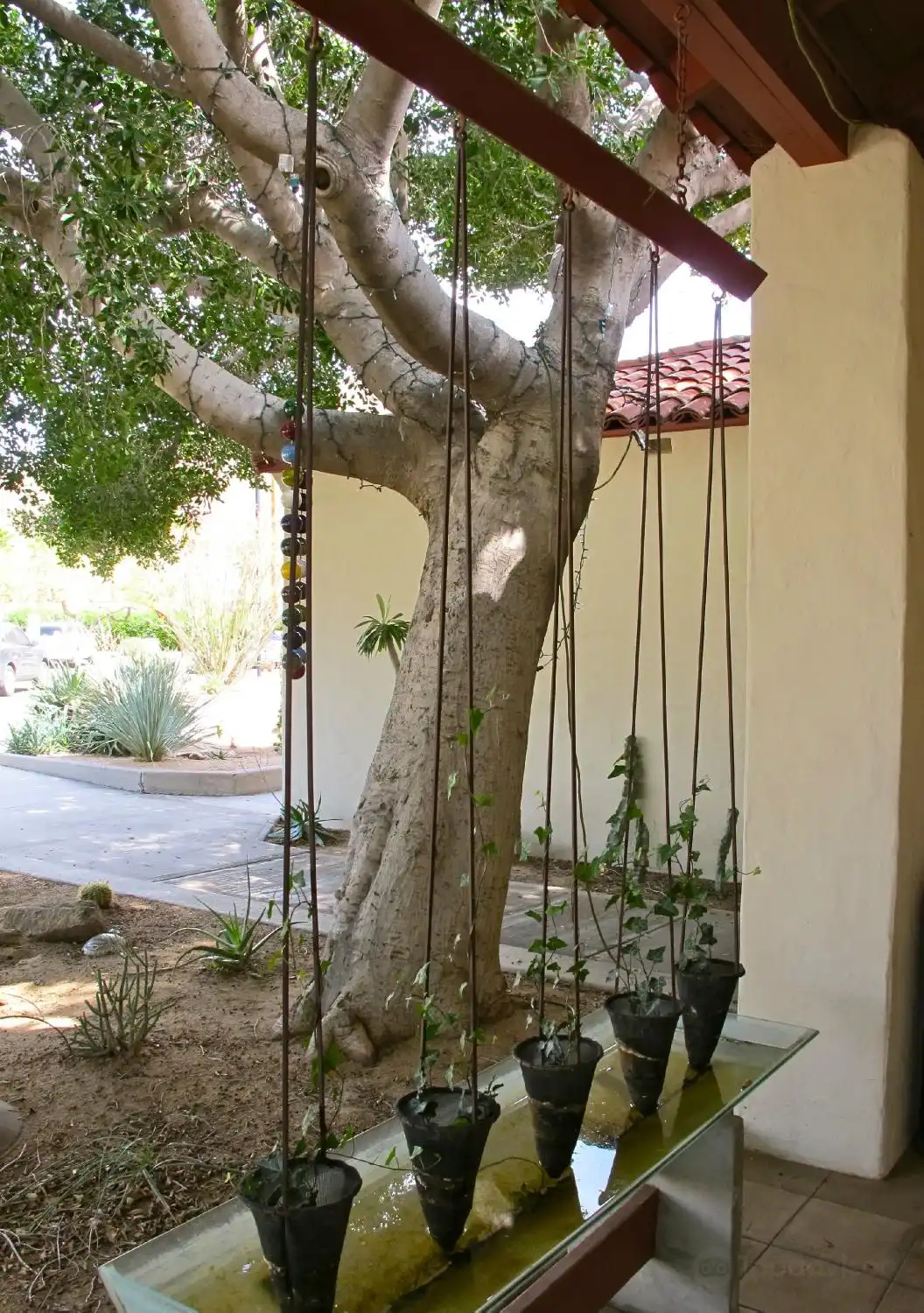 Hotels near Shemer Art Center